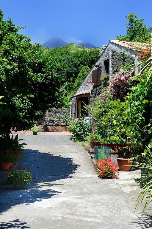 B&B A Rinazzu Milo Exterior foto